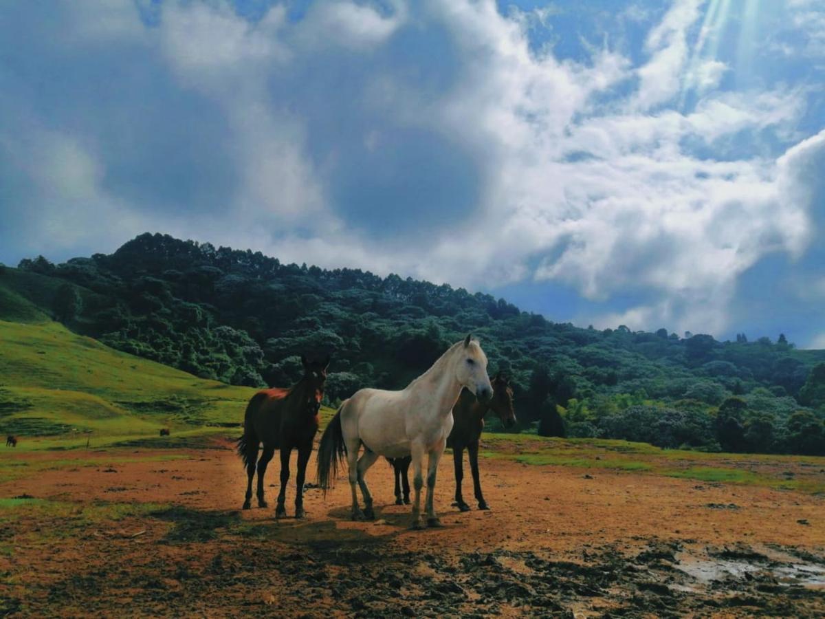 Finca Recreacional Marcelandia Санта-Роса-де-Кабаль Екстер'єр фото